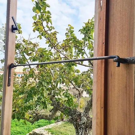 Hidden Gem Of 1900, 7km From Sea Holiday home